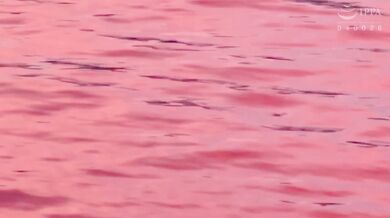 (HD1080P)(Dogma)(omhd00019)通電ワイヤーショック洗脳実験 部活終わりの少女に電極巻き付け、瀕死寸前パブロフマインドコントロール。 佐野なつ